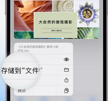 龙胜apple维修中心分享iPhone文件应用中存储和找到下载文件