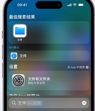 龙胜apple维修中心分享iPhone文件应用中存储和找到下载文件 