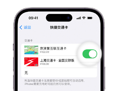 龙胜apple维修点分享iPhone上更换Apple Pay快捷交通卡手绘卡面 