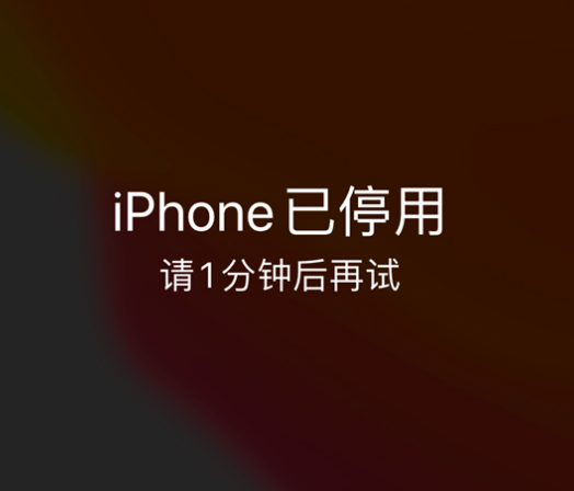 龙胜苹果手机维修分享:iPhone 显示“不可用”或“已停用”怎么办？还能保留数据吗？ 