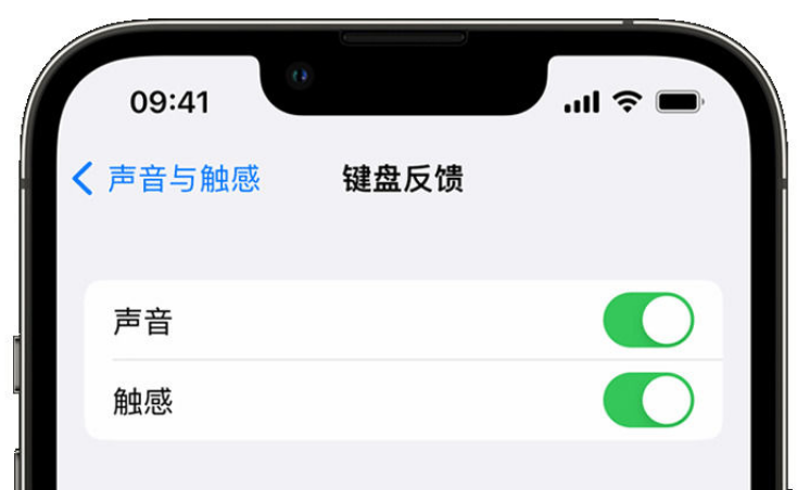 龙胜苹果手机维修分享iPhone 14触感键盘使用方法 