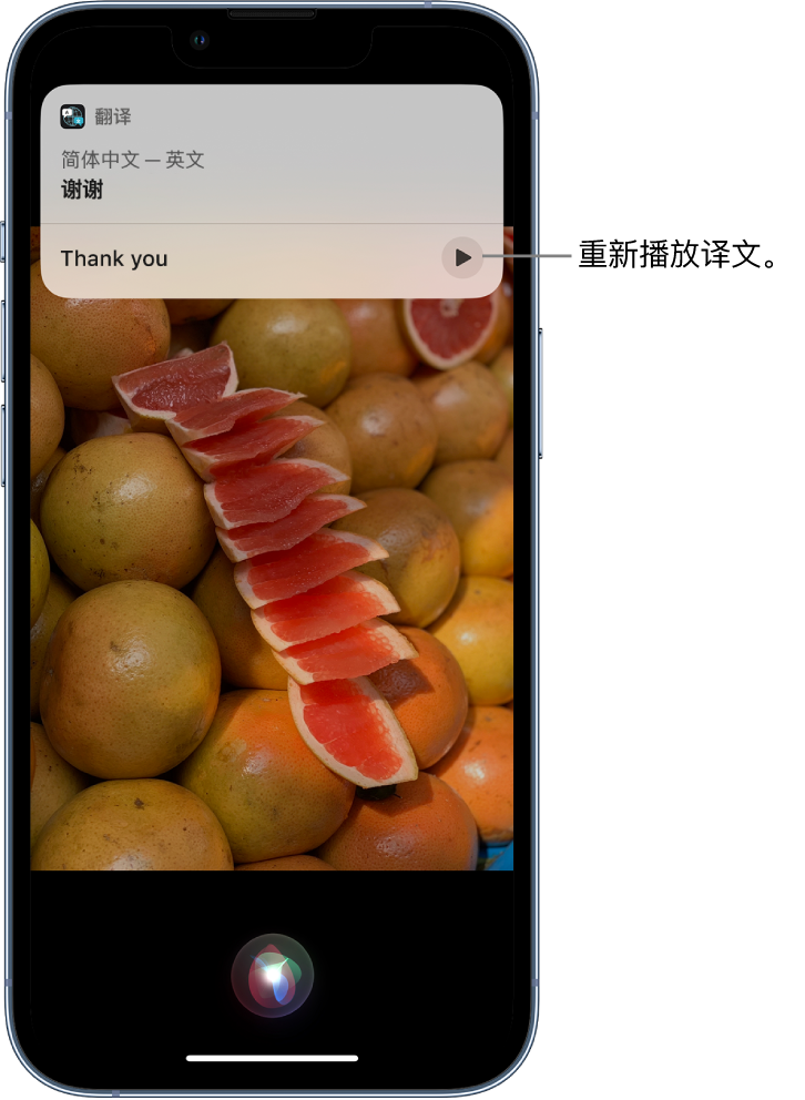 龙胜苹果14维修分享 iPhone 14 机型中使用 Siri：了解 Siri 能帮你做什么 