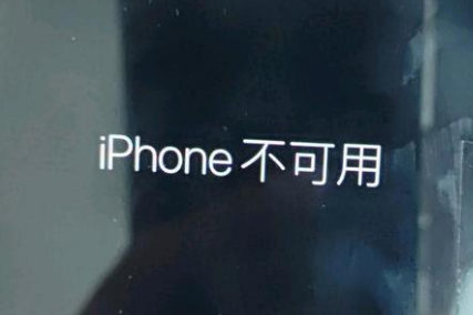 龙胜苹果服务网点分享锁屏界面显示“iPhone 不可用”如何解决 