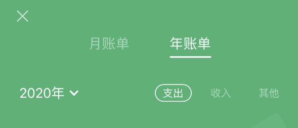 龙胜苹果手机维修分享如何在 iPhone 上查看支付宝和微信年支出账单 