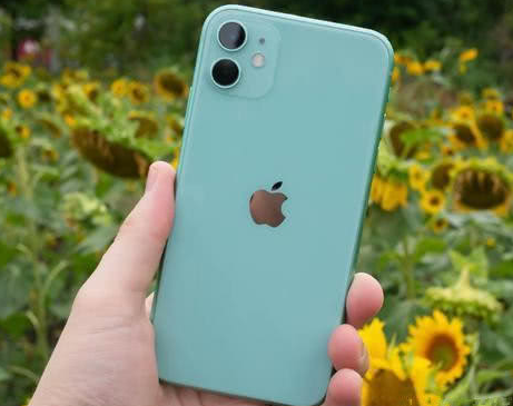 龙胜苹果维修点分享iPhone 11锁屏密码认知与使用科普 
