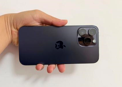 龙胜苹果维修点分享iPhone 14 Pro Max黑屏少见故障盘点 